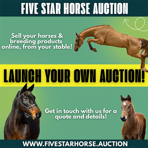 Top fivestarhorse.auction 