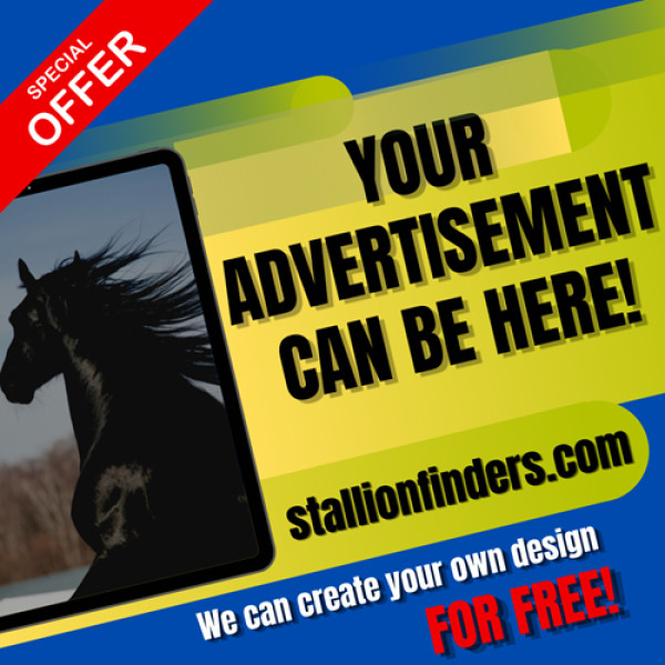 Top fivestarhorse.auction 